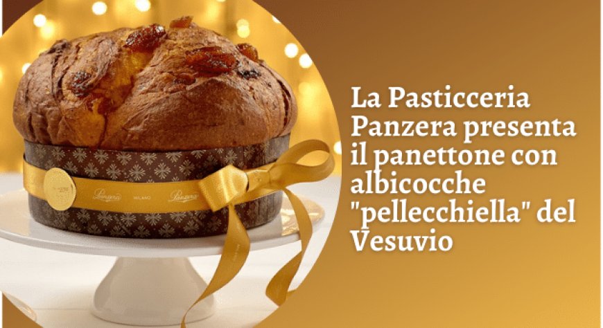 La Pasticceria Panzera presenta il panettone con albicocche "pellecchiella" del Vesuvio