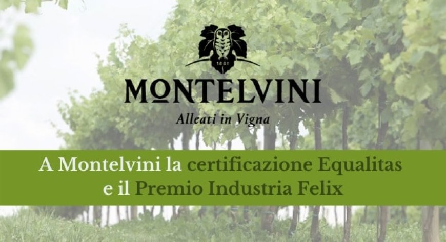 A Montelvini la certificazione Equalitas e il Premio Industria Felix