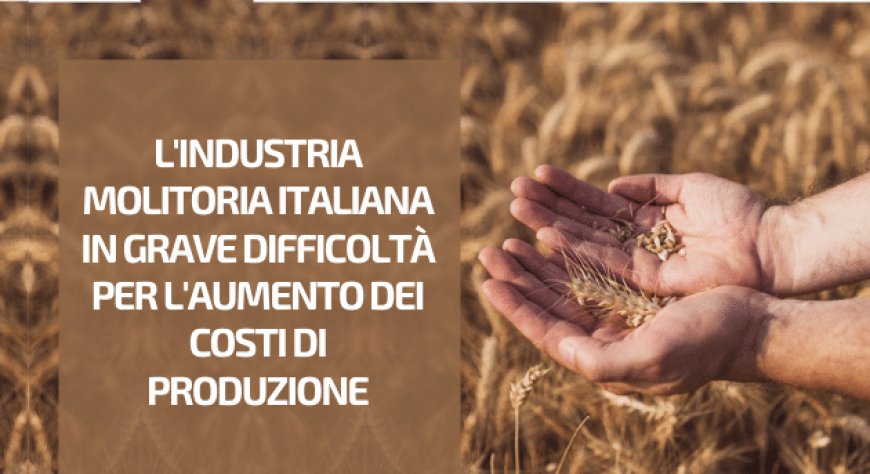 L'Industria Molitoria Italiana in grave difficoltà per l'aumento dei costi di produzione