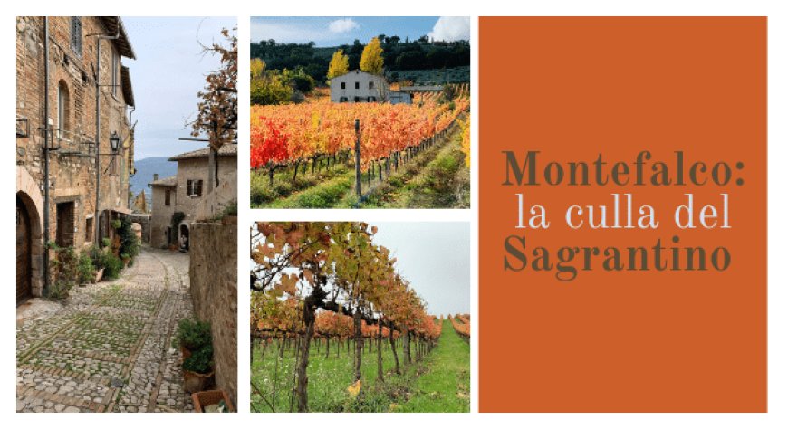 Montefalco: la culla del Sagrantino