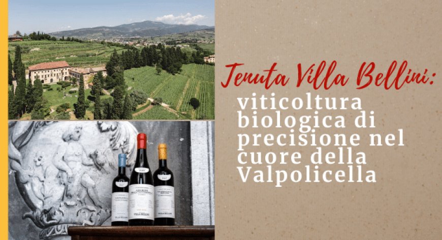 Tenuta Villa Bellini: viticoltura biologica di precisione nel cuore della Valpolicella