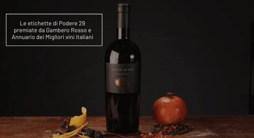 Le etichette di Podere 29 premiate da Gambero Rosso e Annuario dei Migliori vini italiani