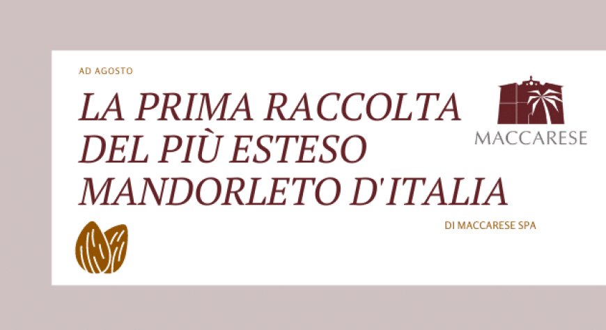 Ad agosto la prima raccolta del più esteso mandorleto d'Italia di Maccarese SpA
