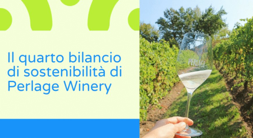 Il quarto bilancio di sostenibilità di Perlage Winery
