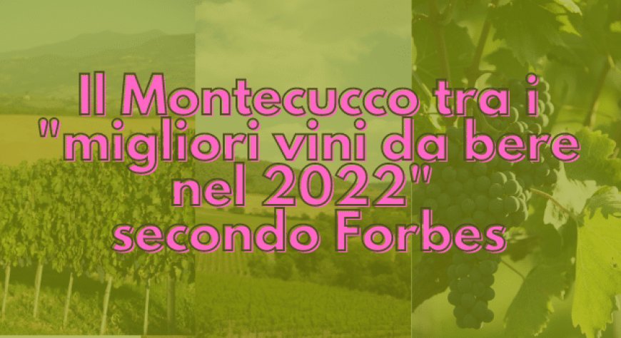 Il Montecucco tra i "migliori vini da bere nel 2022" secondo Forbes