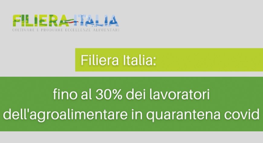 Filiera Italia: fino al 30% dei lavoratori dell'agroalimentare in quarantena covid