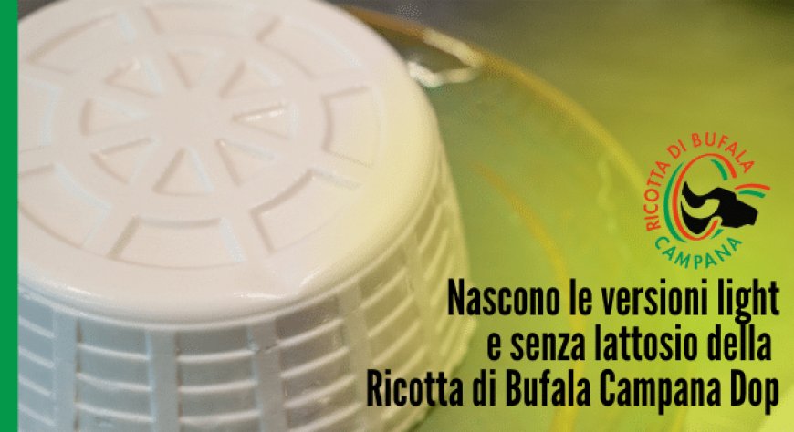 Nascono le versioni light e senza lattosio della Ricotta di Bufala Campana Dop