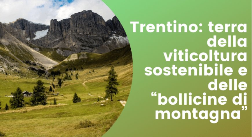 Trentino: terra della viticoltura sostenibile e delle “bollicine di montagna”