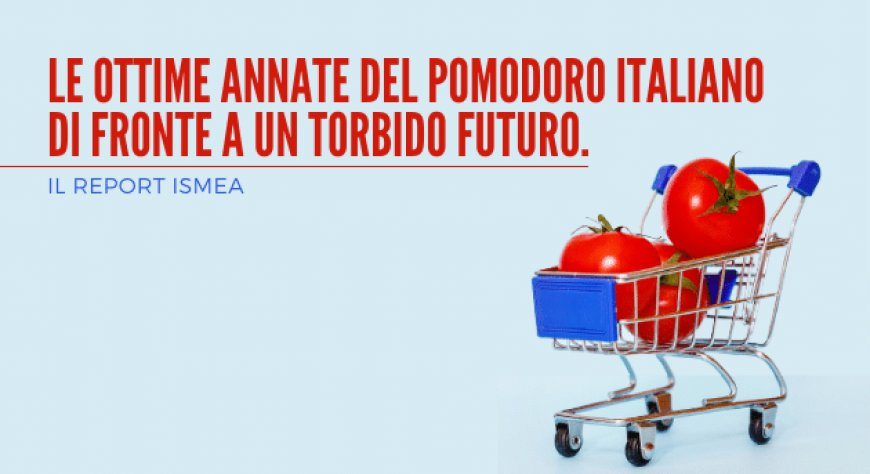 Le ottime annate del pomodoro italiano di fronte a un torbido futuro. Il report Ismea