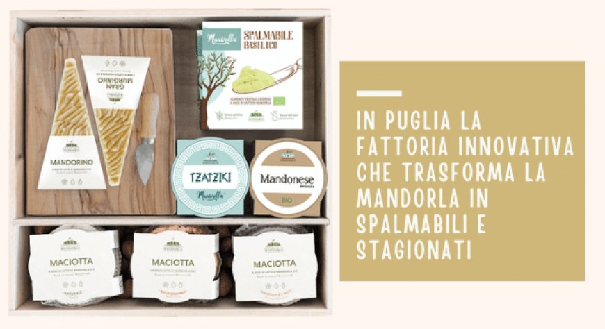 In Puglia la Fattoria innovativa che trasforma la mandorla in spalmabili e stagionati