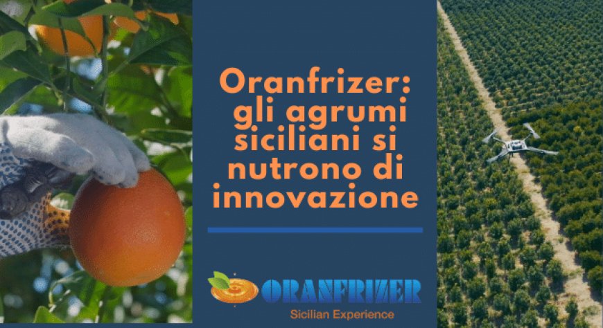 Oranfrizer: gli agrumi siciliani si nutrono di innovazione