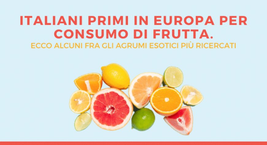Italiani primi in Europa per consumo di frutta. Ecco alcuni fra gli agrumi esotici più ricercati