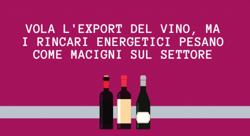 Vola l'export del vino, ma i rincari energetici pesano come macigni sul settore