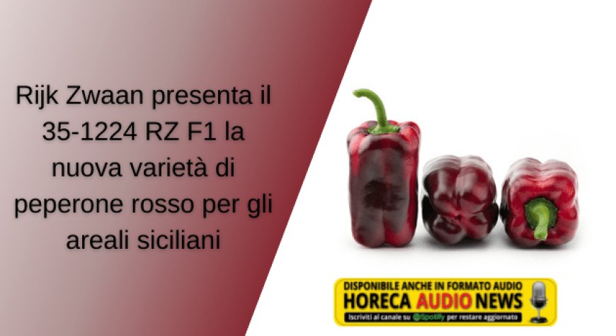 Rijk Zwaan presenta il 35-1224 RZ F1 la nuova varietà di peperone rosso per gli areali siciliani