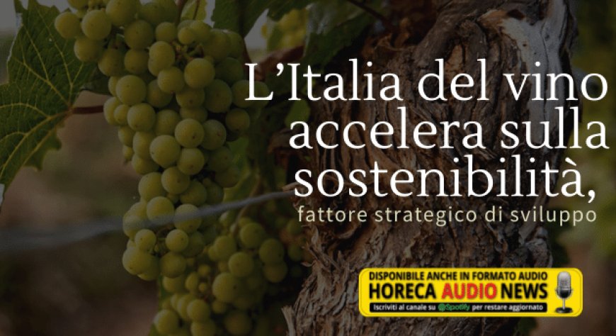 L’Italia del vino accelera sulla sostenibilità, fattore strategico di sviluppo