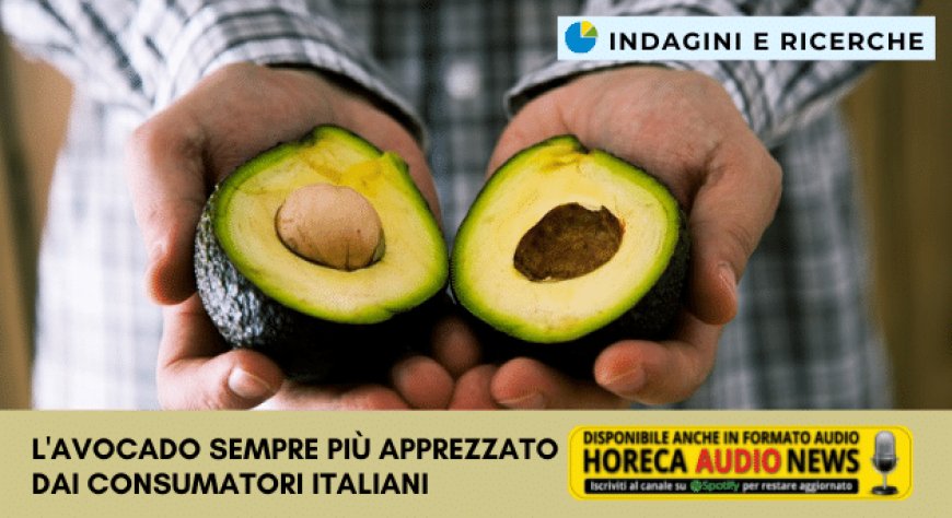 L'avocado sempre più apprezzato dai consumatori italiani