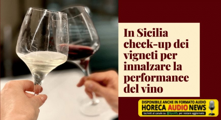 In Sicilia check-up dei vigneti per innalzare la performance del vino