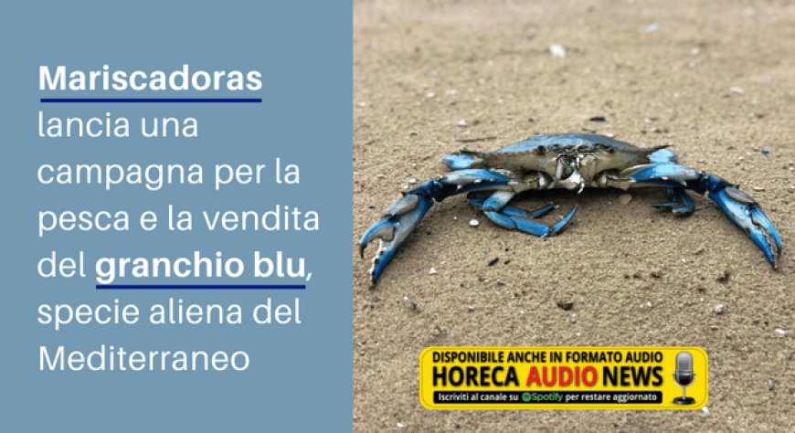 Mariscadoras lancia una campagna per la pesca e la vendita del granchio blu, specie aliena del Mediterraneo