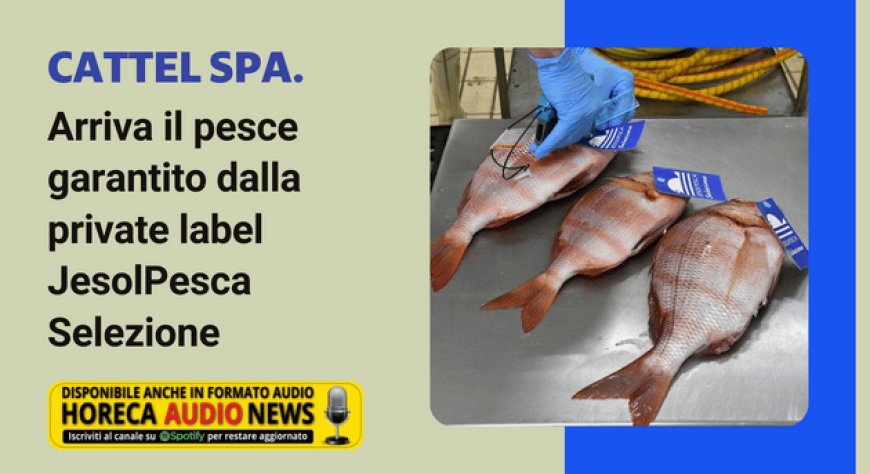 Cattel SpA. Arriva il pesce garantito dalla private label JesolPesca Selezione
