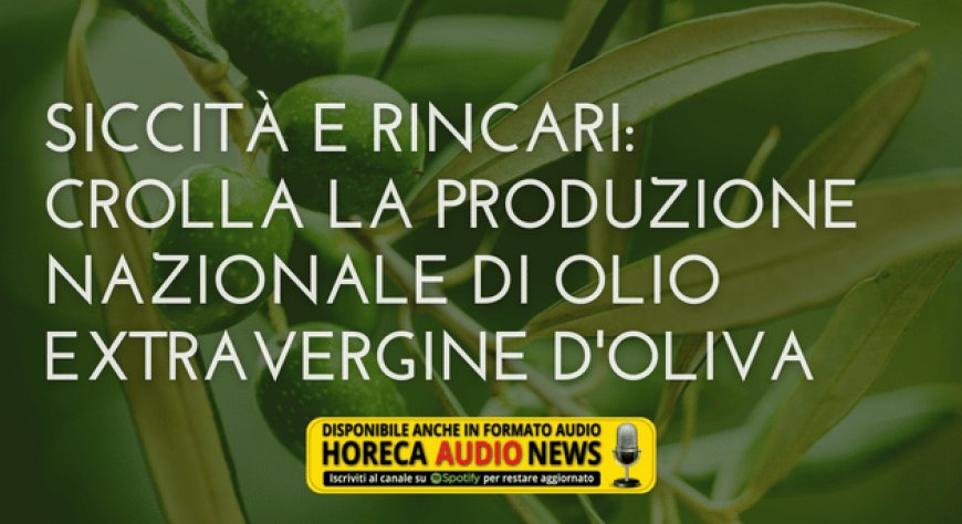 Siccità e rincari: crolla la produzione nazionale di olio extravergine d'oliva