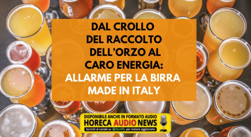 Dal crollo del raccolto dell'orzo al caro energia: allarme per la birra made in Italy