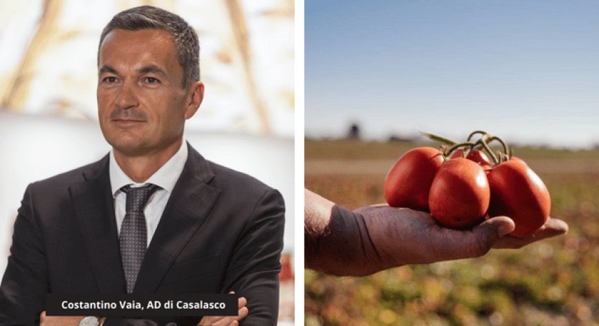 Casalasco leader italiano nella trasformazione del pomodoro da industria