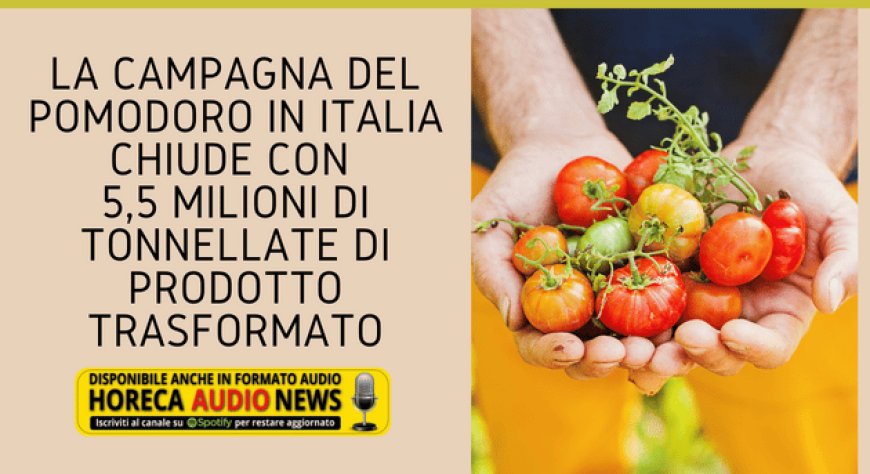 La campagna del pomodoro in Italia chiude con 5,5 milioni di tonnellate di prodotto trasformato