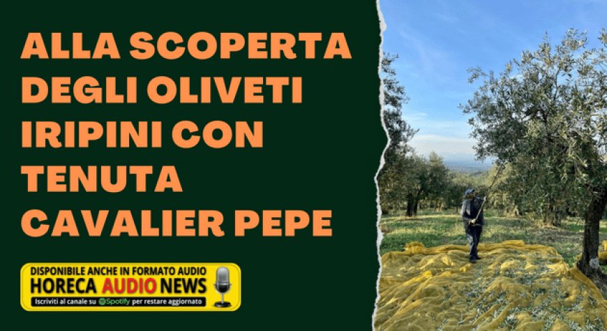 Alla scoperta degli oliveti iripini con Tenuta Cavalier Pepe