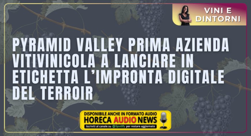Pyramid Valley prima azienda vitivinicola a lanciare in etichetta l’impronta digitale del terroir