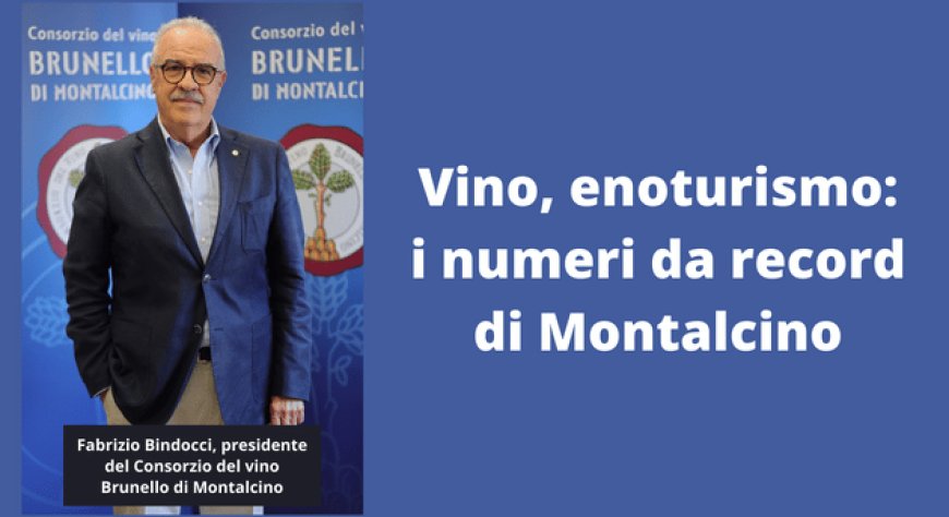Vino, enoturismo: i numeri da record di Montalcino
