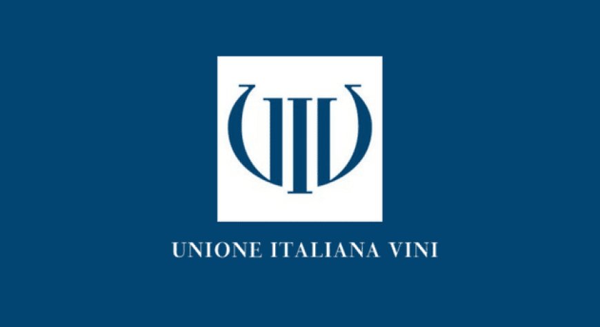 A wine2wine focus di Unione Italiana Vini su mercato, sostenibilità e giovani