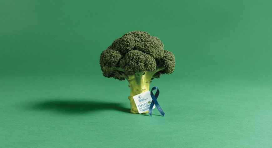 “I broccoli per la ricerca”: torna il progetto di Fondazione Umberto Veronesi e Citrus l’Orto Italiano