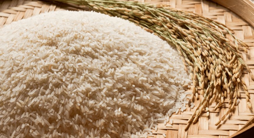 Stop alla clausola di salvaguardia, il riso asiatico invade l'Italia