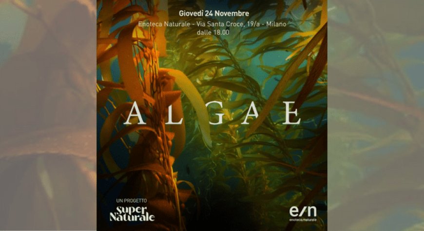 SuperNaturale presenta il progetto Algae a Milano
