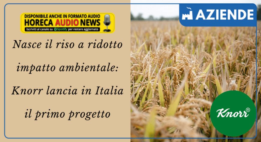 Nasce il riso a ridotto impatto ambientale: Knorr lancia in Italia il primo progetto