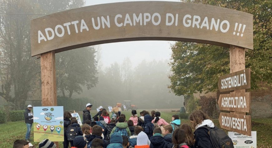 Molini Pivetti: "Adotta un campo di grano" si rinnova e coinvolge 550 bambini nuovi partecipanti 