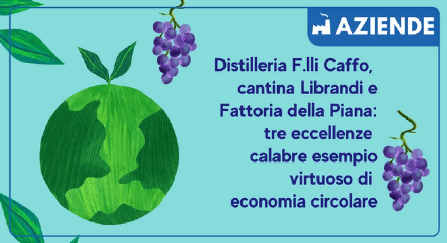 Distilleria F.lli Caffo, cantina Librandi e Fattoria della Piana: tre eccellenze calabre esempio virtuoso di economia circolare