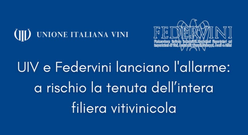 UIV e Federvini lanciano l'allarme: a rischio la tenuta dell’intera filiera vitivinicola