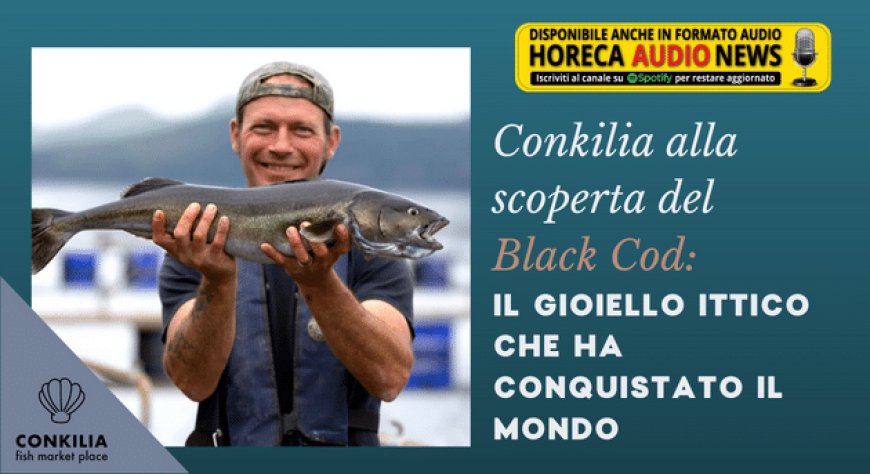 Conkilia alla scoperta del Black Cod: il gioiello ittico che ha conquistato il mondo