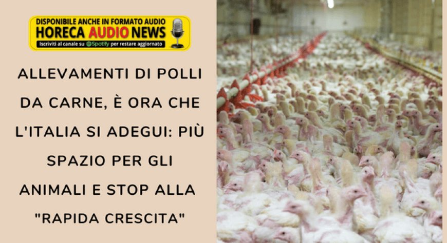 Allevamenti di polli da carne, è ora che l'Italia si adegui: più spazio per gli animali e stop alla "rapida crescita"
