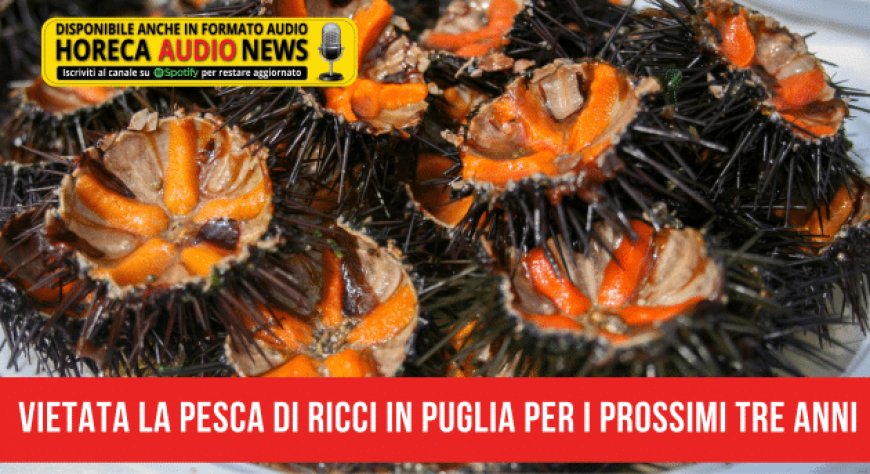 Vietata la pesca di ricci in Puglia per i prossimi tre anni