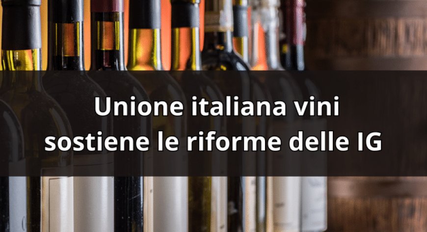 Unione italiana vini sostiene le riforme delle IG