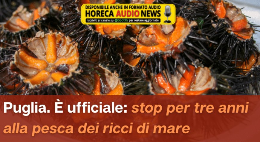 Puglia. È ufficiale: stop per tre anni alla pesca dei ricci di mare