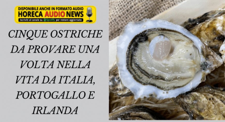 Cinque ostriche da provare una volta nella vita da Italia, Portogallo e Irlanda