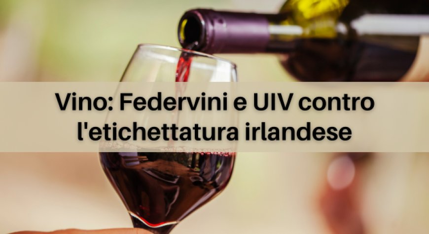 Vino: Federvini e UIV contro l'etichettatura irlandese