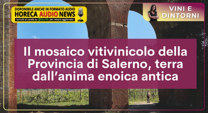 Il mosaico vitivinicolo della Provincia di Salerno, terra dall’anima enoica antica