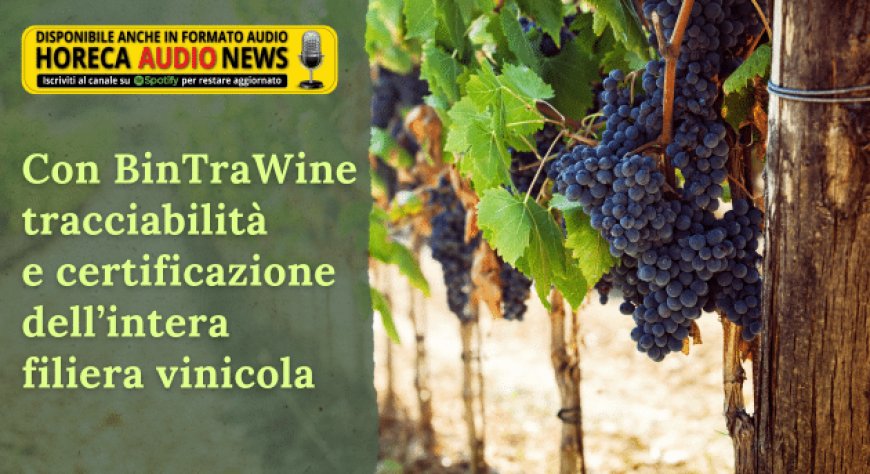 Con BinTraWine tracciabilità e certificazione dell’intera filiera vinicola