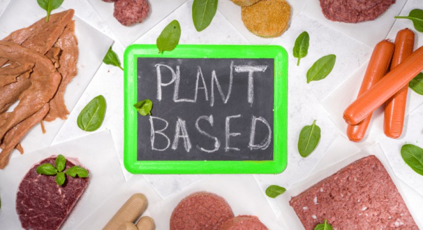 UIF. DDL cibo sintetico: cambiare nome ai prodotti a base vegetale confonde i consumatori