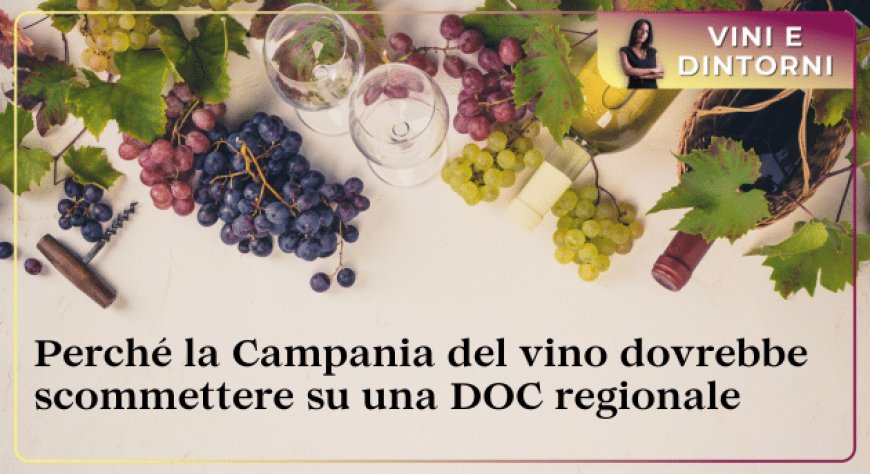 Perché la Campania del vino dovrebbe scommettere su una DOC regionale