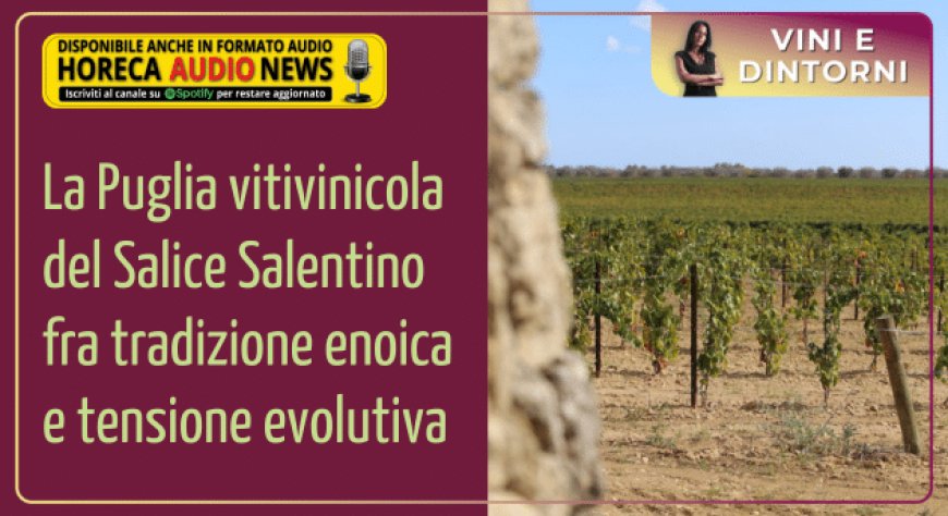 La Puglia vitivinicola del Salice Salentino fra tradizione enoica e tensione evolutiva
